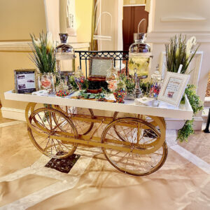 Golden Wheel Tray Style Display Cart 1